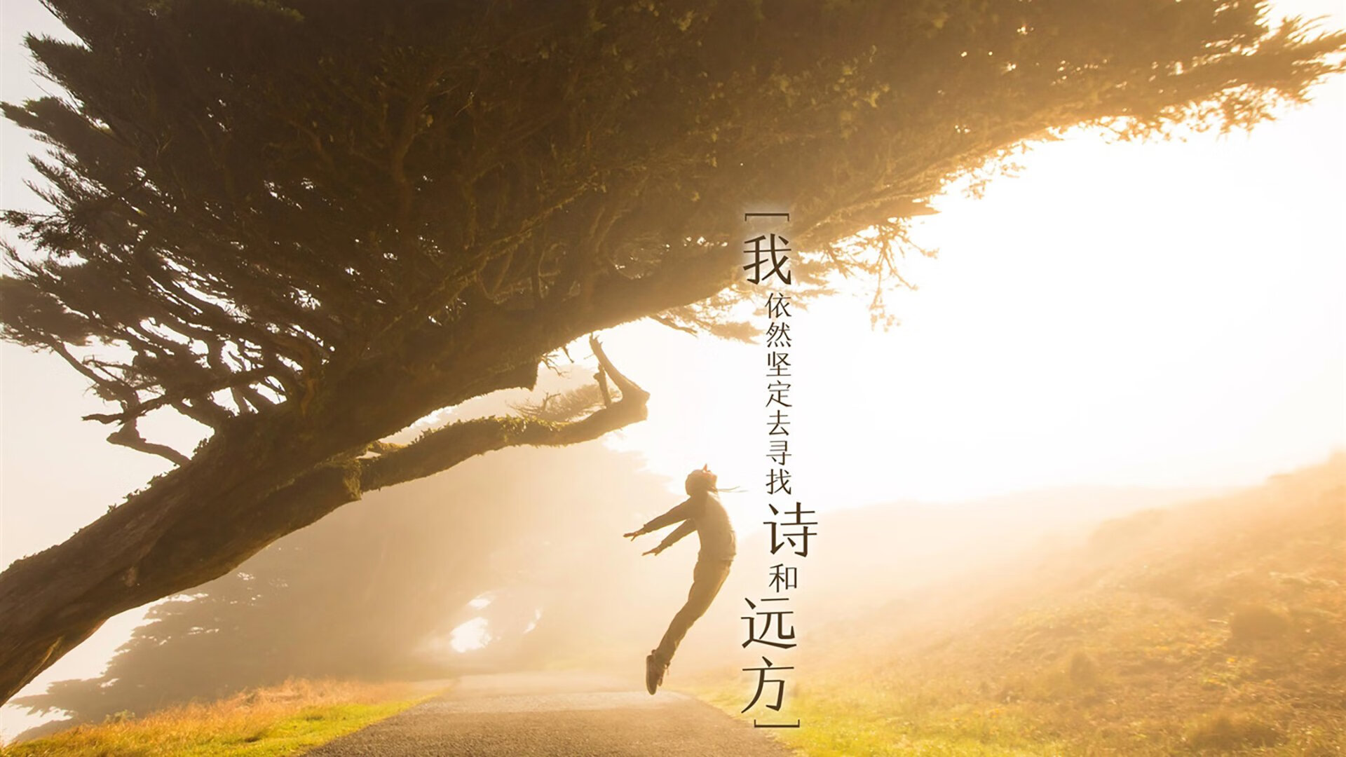 【青少年训练指南】如何塑造未来的顶尖运动员？，青少年运动员选材与培养
