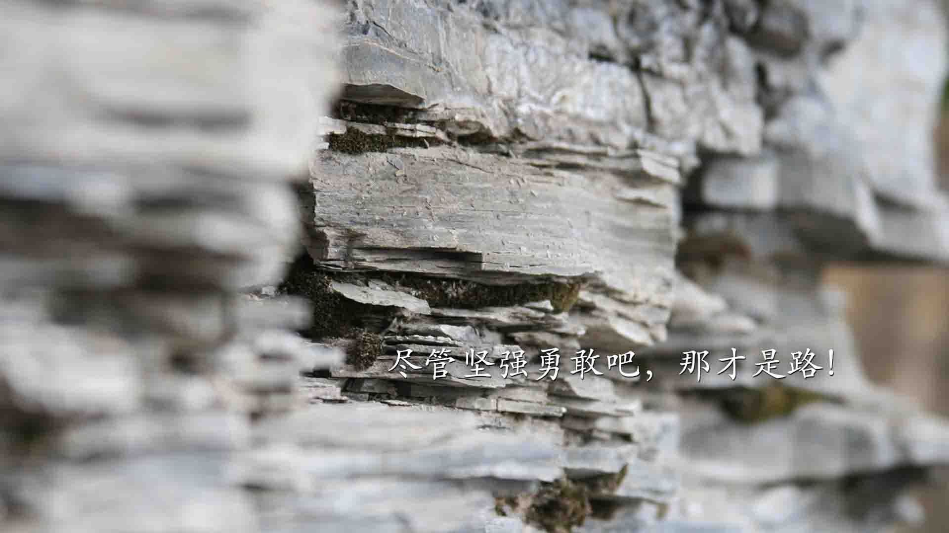 篮球赛事直播技术升级提升观赛体验，篮球比赛现场直播节目