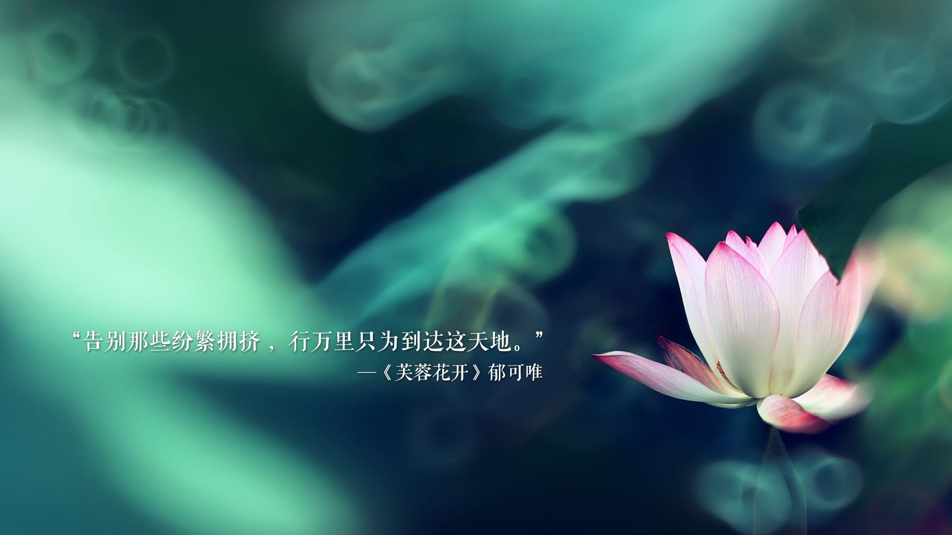 乐鱼（LEYU）体育-外援爆发独揽全队得分，领队队伍锋芒毕露，联赛外援