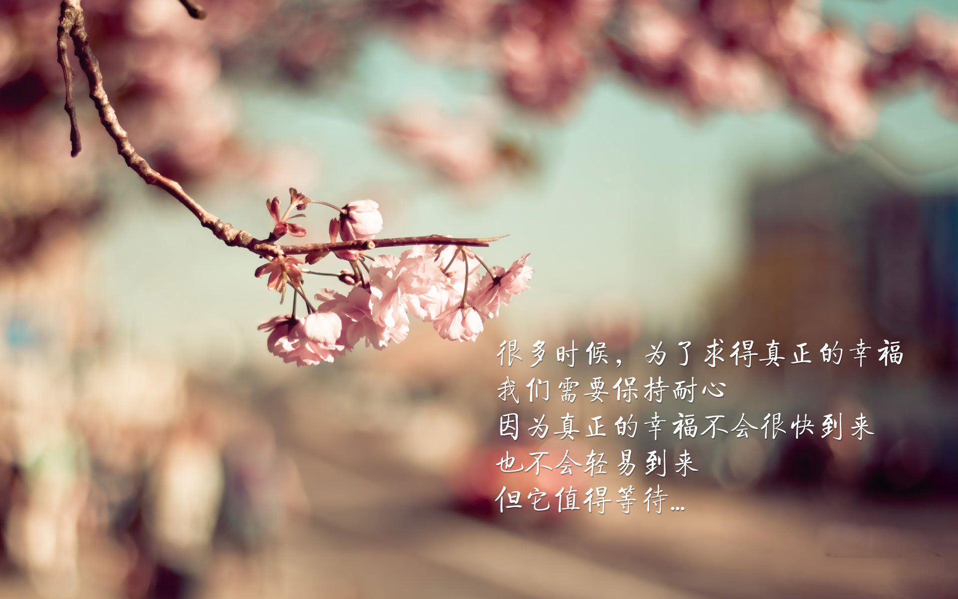 美因茨作战奥格斯堡，主场求生之路，美因茨vs奥格斯