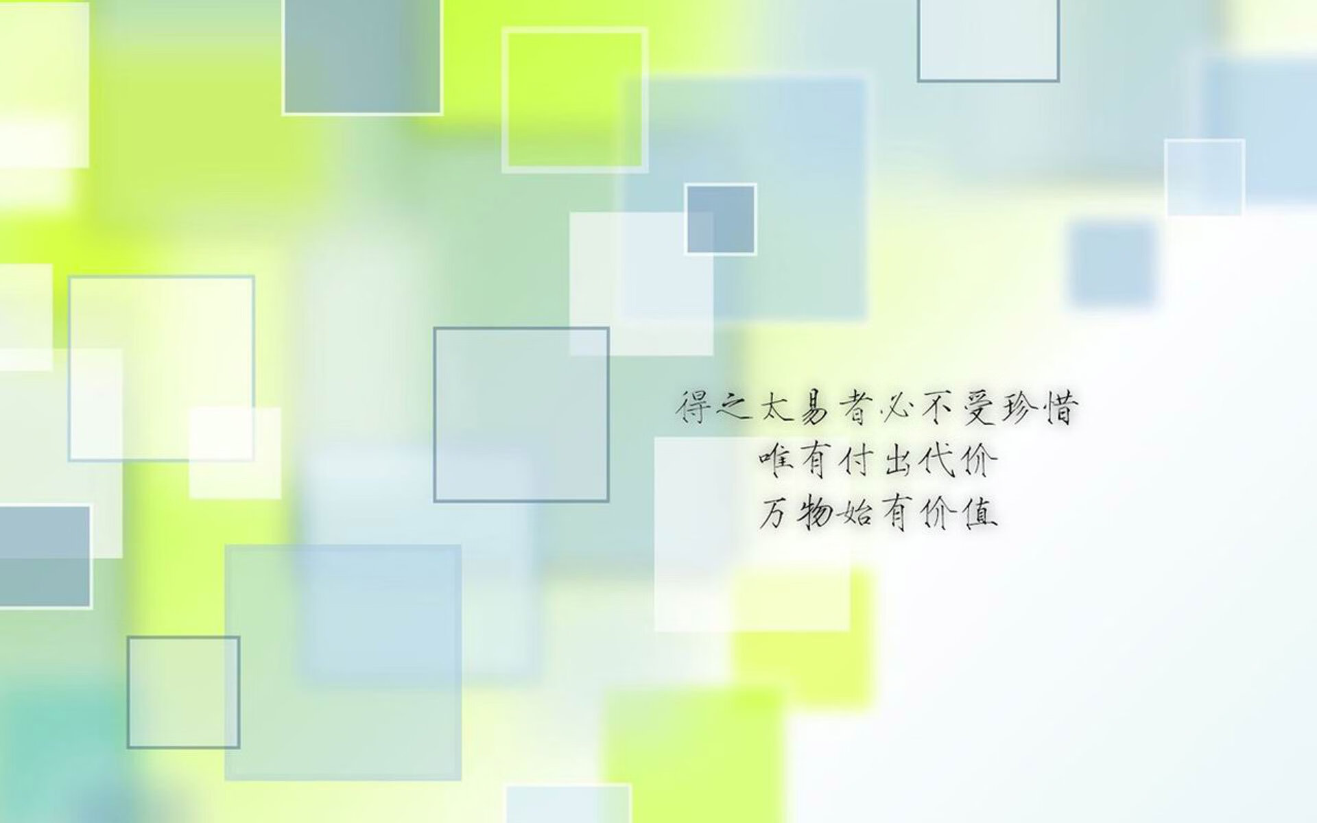 张伟丽透露备战计划已进入冲刺阶段，张伟丽二番战比赛视频录像