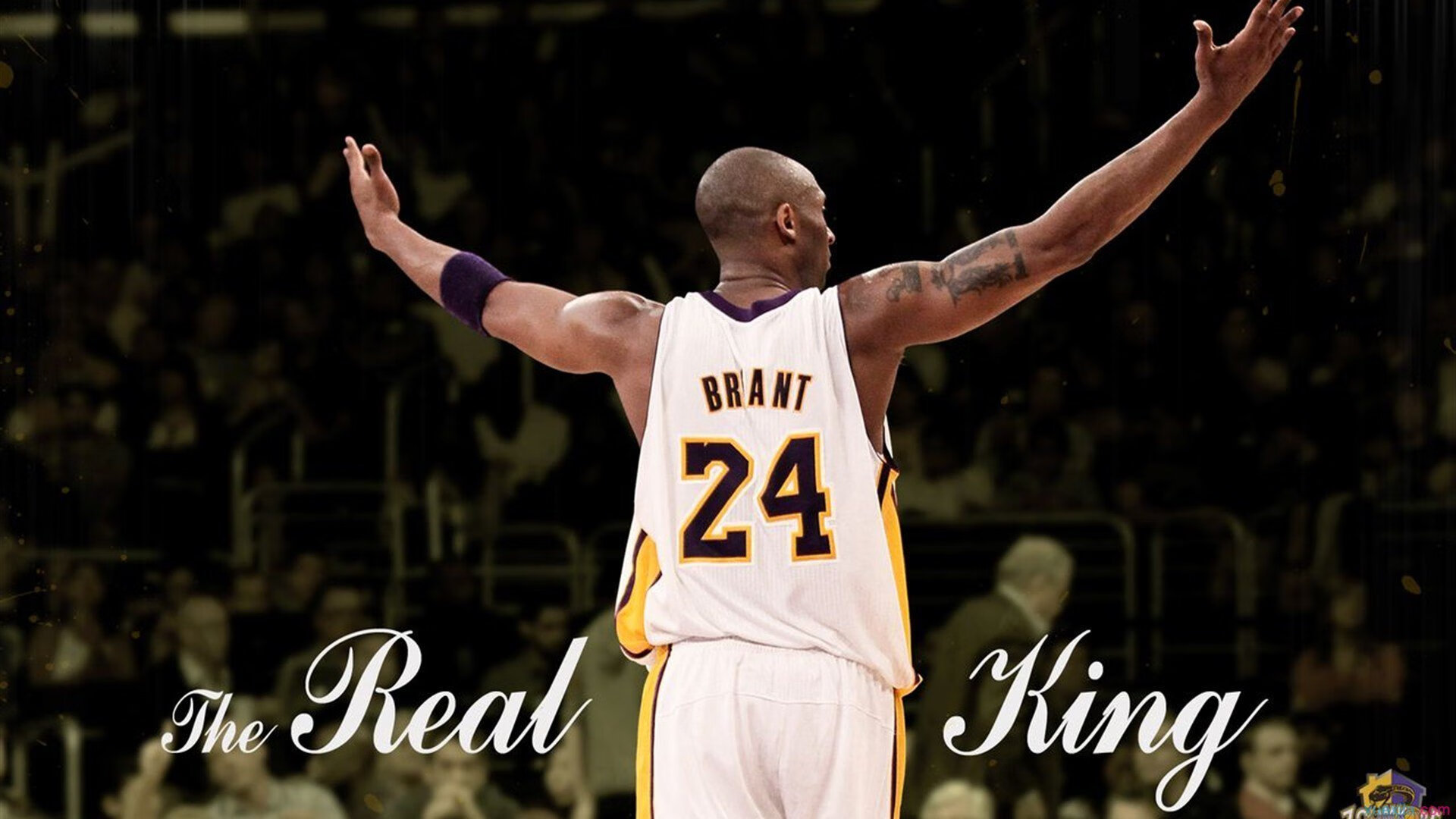 巴西举办篮球知识讲座，巴西篮球全武行