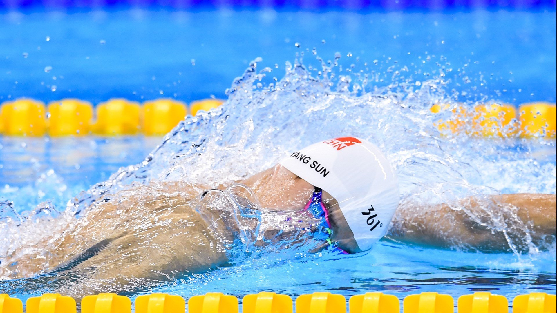 德国马术协会推出马术运动员职业发展规划，促进人才培养。，德国马术选手